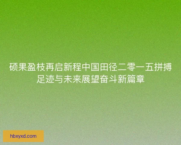 硕果盈枝再启新程中国田径二零一五拼搏足迹与未来展望奋斗新篇章