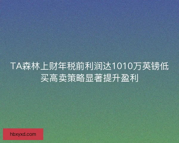 TA森林上财年税前利润达1010万英镑低买高卖策略显著提升盈利
